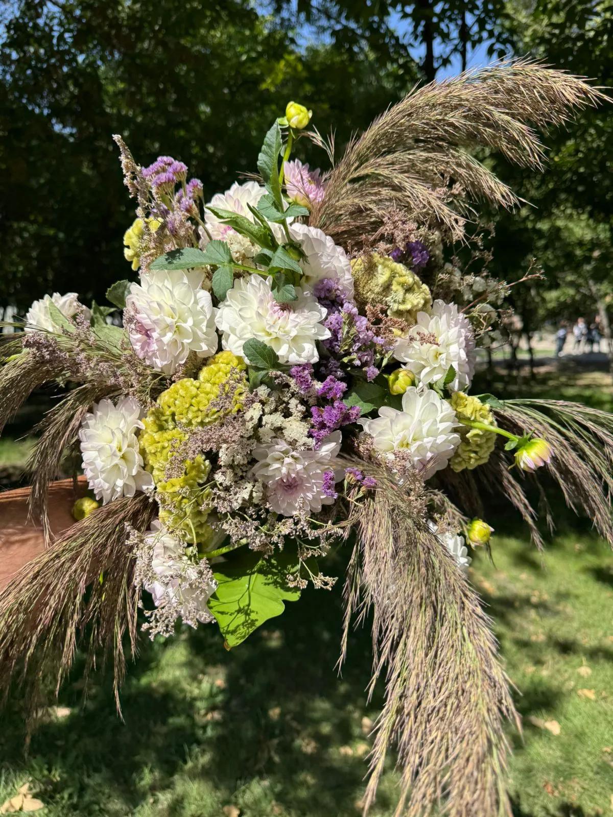 A beautiful flower bed with dahlias | ծաղիկներ, ծաղկեպսակներ, բույսեր Երևան