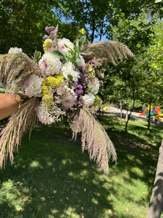 A beautiful flower bed with dahlias | ծաղիկներ, ծաղկեպսակներ, բույսեր - առաքում Երևան