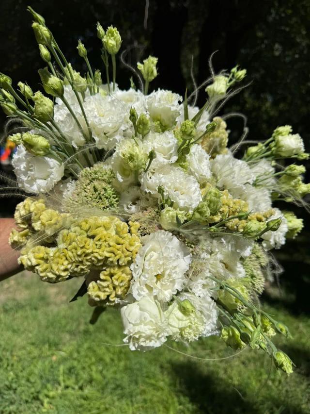 Lisianthus and Celosia | ծաղիկներ, ծաղկեպսակներ, բույսեր - առաքում Երևան