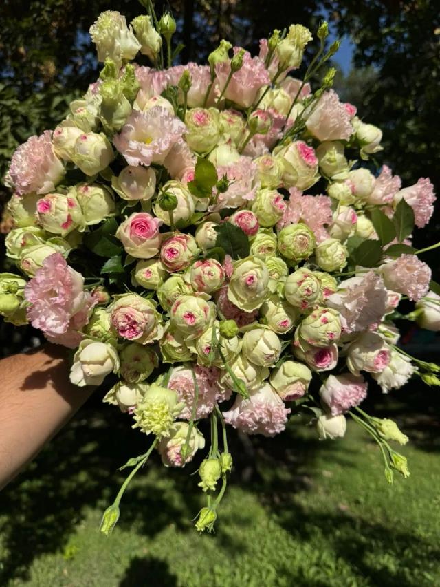 Bunch roses and lisianthus | ծաղիկներ, ծաղկեպսակներ, բույսեր - առաքում Երևան