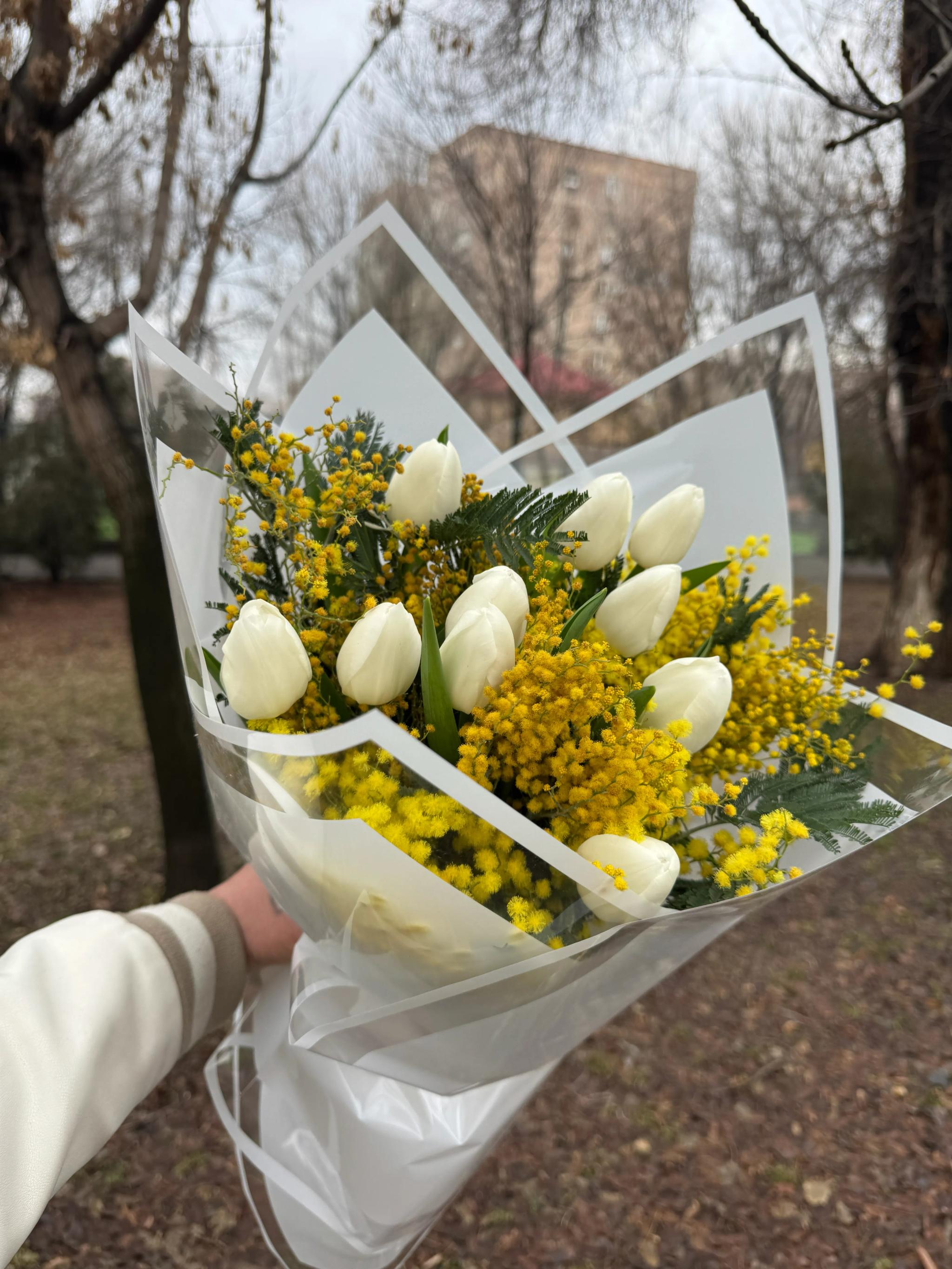 A bouquet of tulips | ծաղիկներ, ծաղկեպսակներ, բույսեր Երևան