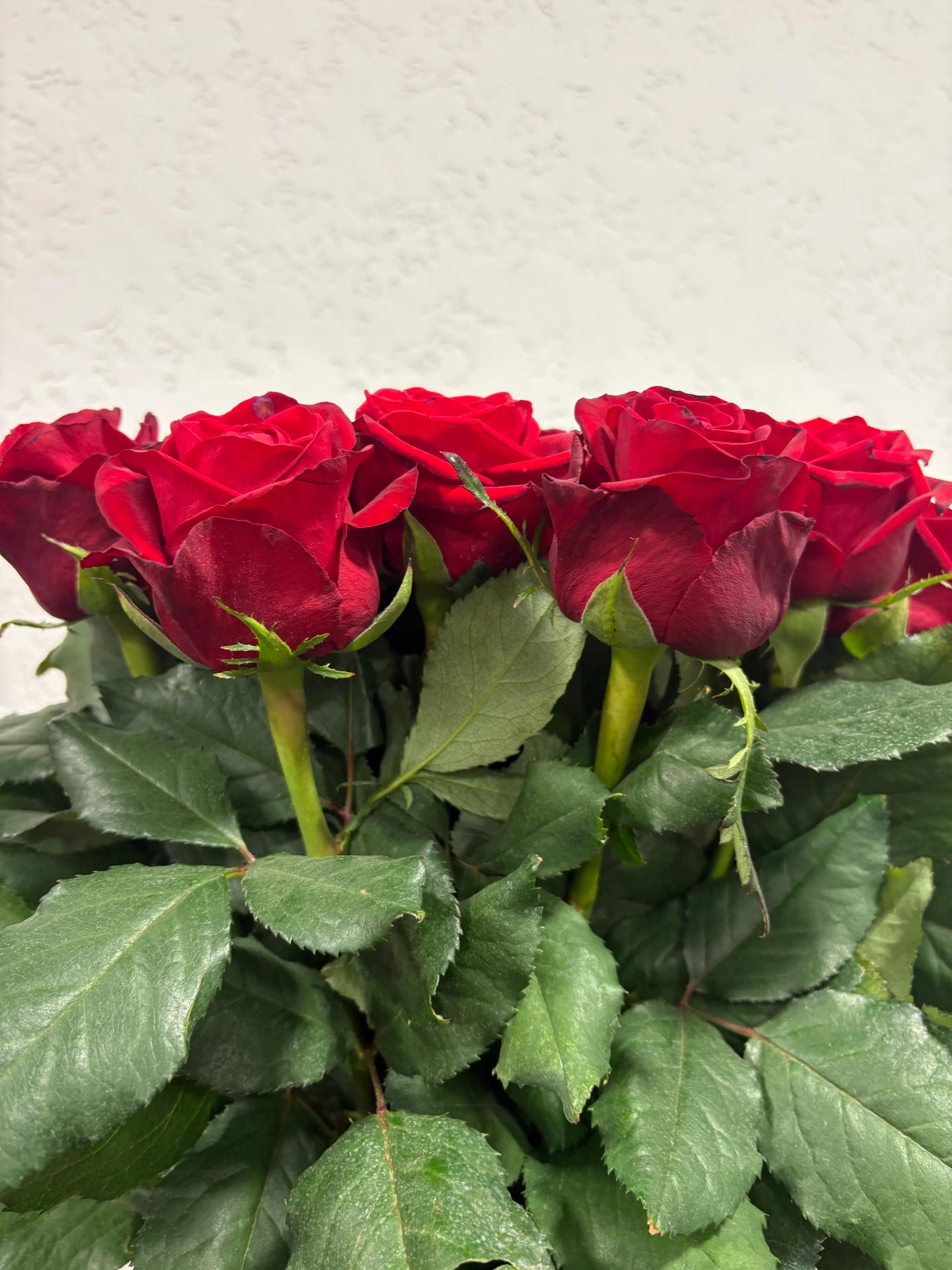 Bunch of roses | ծաղիկներ, ծաղկեպսակներ, բույսեր Երևան
