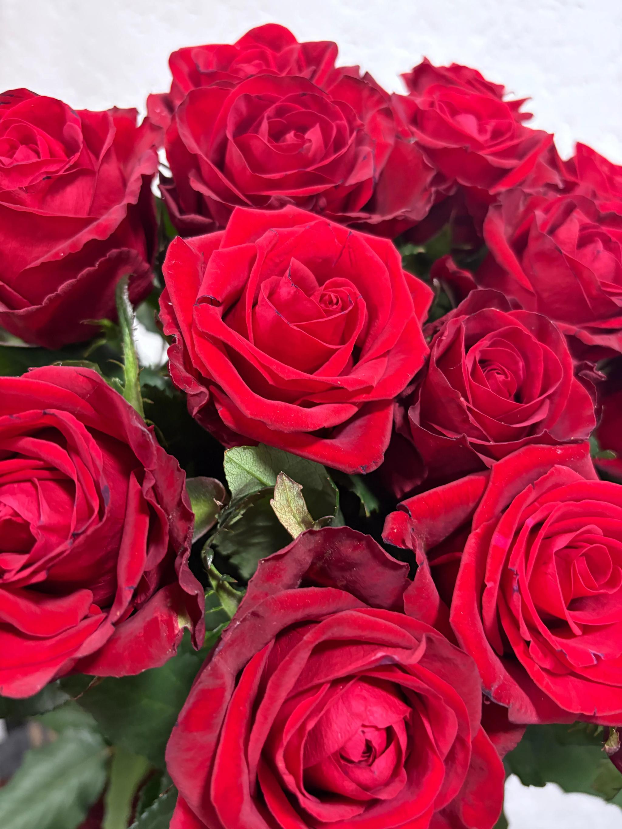 Bunch of roses | ծաղիկներ, ծաղկեպսակներ, բույսեր Երևան