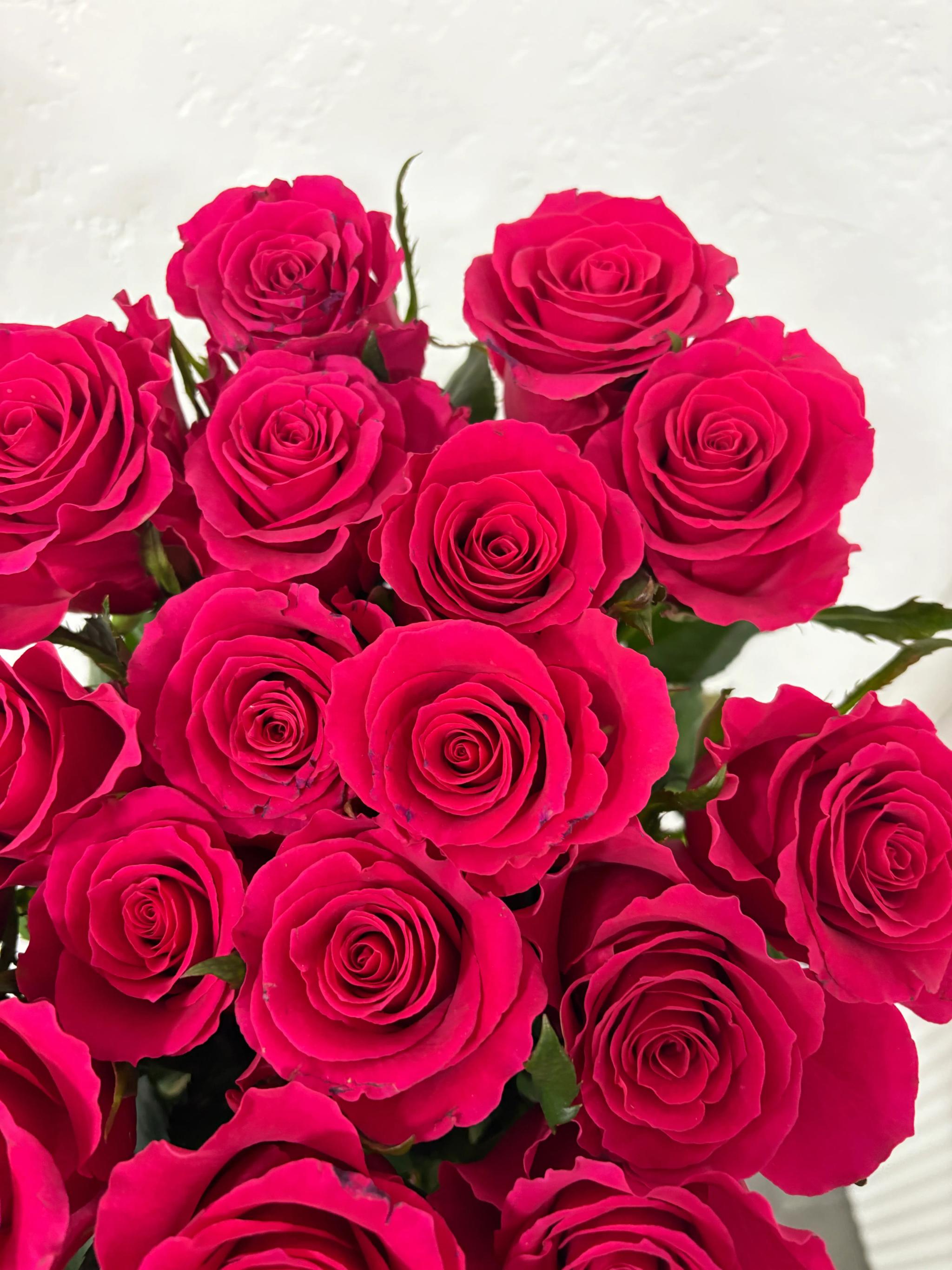 Bunch of roses | ծաղիկներ, ծաղկեպսակներ, բույսեր Երևան
