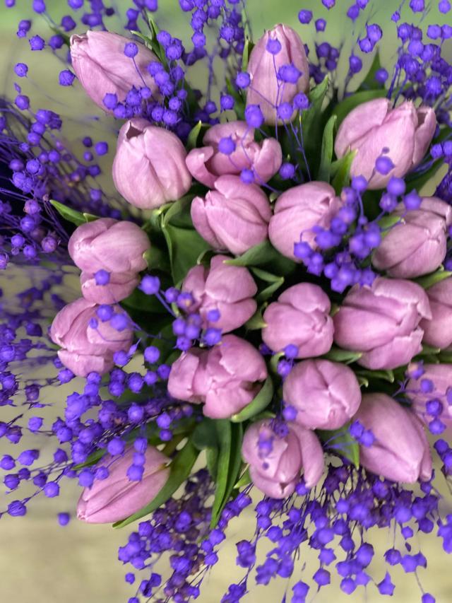 Blue tulips | ծաղիկներ, ծաղկեպսակներ, բույսեր - առաքում Երևան