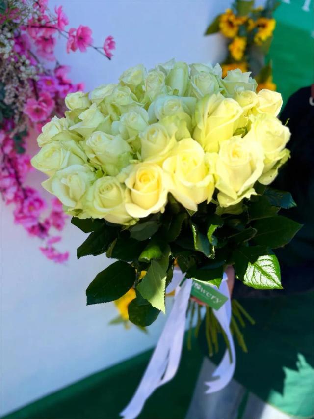 White roses | ծաղիկներ, ծաղկեպսակներ, բույսեր - առաքում Երևան
