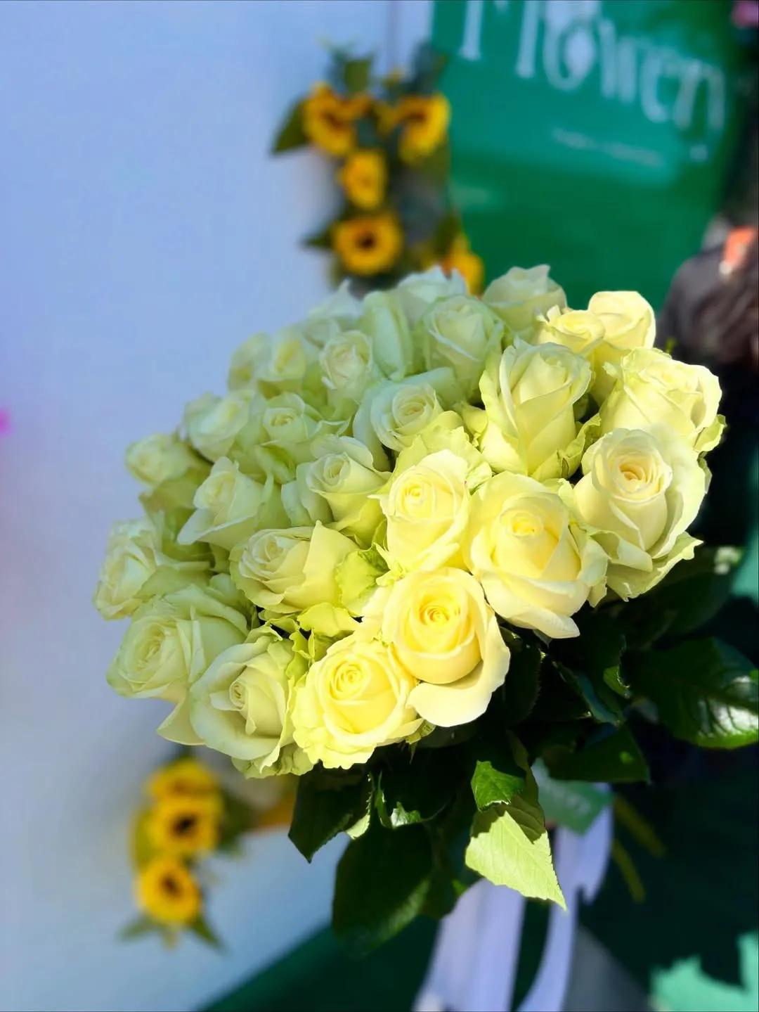 White roses | ծաղիկներ, ծաղկեպսակներ, բույսեր Երևան