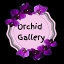 Orchid Gallery  ծաղիկների | ծաղկեպսակների առաքում Երևան