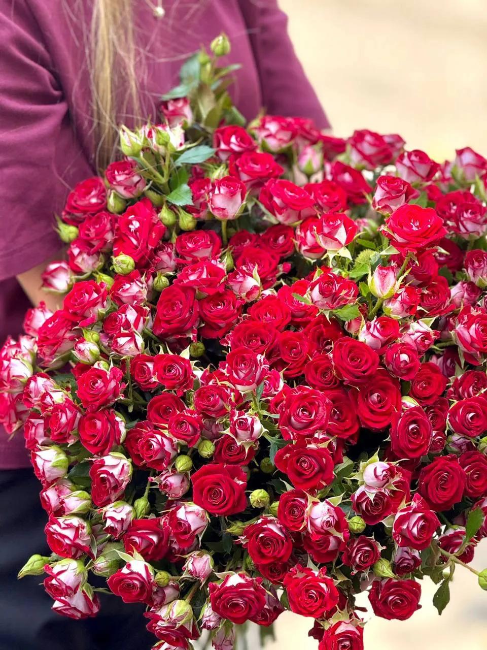 Red Bunch Roses | ծաղիկներ, ծաղկեպսակներ, բույսեր Երևան