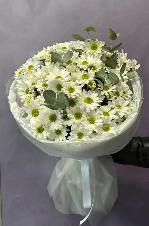 Bunch of chrysanthemums | ծաղիկներ, ծաղկեպսակներ, բույսեր Երևան Bunch of chrysanthemums | ծաղիկներ, ծաղկեպսակներ, բույսեր Երևան