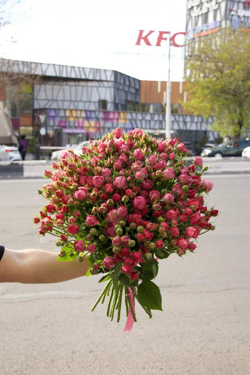 Փնջային վարդեր | ծաղիկներ, ծաղկեպսակներ, բույսեր Երևան Փնջային վարդեր | ծաղիկներ, ծաղկեպսակներ, բույսեր Երևան